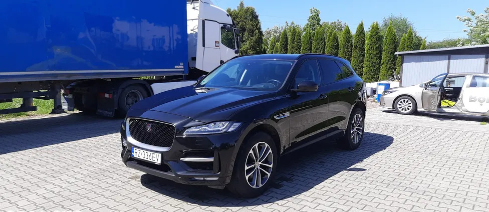 Jaguar F-Pace cena 136999 przebieg: 105000, rok produkcji 2019 z Rzeszów